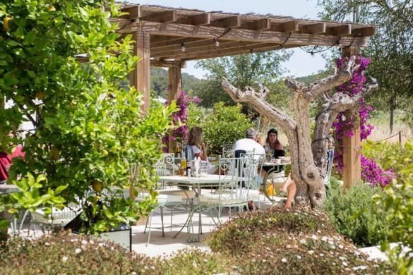 aubergine-ibiza-4-585x390 Mijn 6 lievelings Healthy Hotspots op Ibiza 